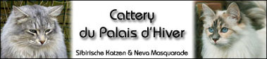 Banner Palaisdhiver